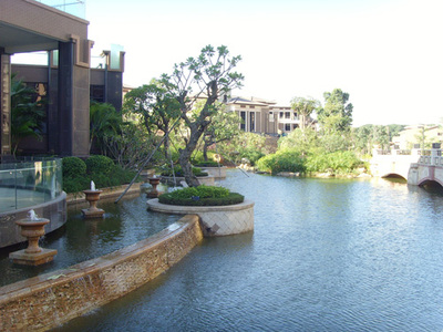 園林綠化工程 從設計到施工，賦能房地產、別墅與工廠景觀